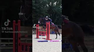 Bros ate   tags 🏷️ harlow edit horse tiktok shorts fyp [upl. by Aiela90]