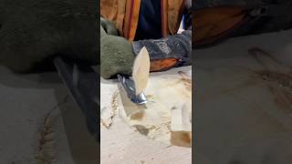 Woodwork ASMR 🪵 woodworking shorts [upl. by Baruch30]