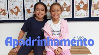 Apadrinhamento 1º ano [upl. by Alicirp]