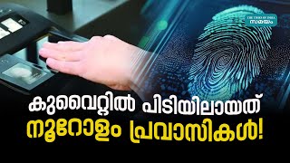 Kuwait Biometric Fingerprinting കുവൈറ്റിൽ റൂറോളം പ്രവാസികൾ പിടിയിൽ [upl. by Brittne]