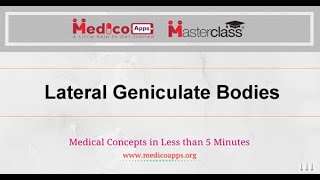 NEET PGTopicLateral Geniculate BodiesPhysiology [upl. by Aicnetroh]