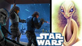 What Happened To KAMINO After Order 66  Clone Wars Explained [upl. by Sutsuj]