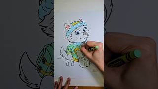 Coloring PAW Patrol Everest kidslearning kids pawpatrol coloringforkids fyp fy kidsvideo [upl. by Neumeyer]