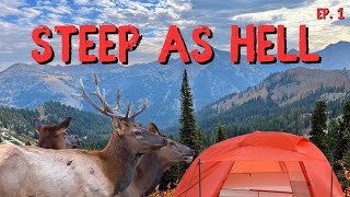 BULL ELK in CAMP  Steep as Hell Pt 1 Camp Bulls  An Idaho Archery Elk Hunt [upl. by Julienne]