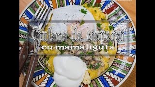 Reteta ciulama de ciuperci cu mamaliguta  Bucatarialuiradu [upl. by Jaymee647]