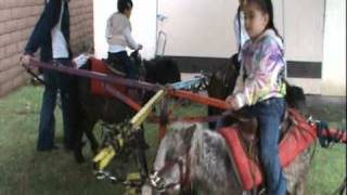 Pico Rivera Ca Pony Rides [upl. by Namyw]