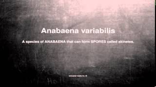 Medical vocabulary What does Anabaena variabilis mean [upl. by Ztirf330]