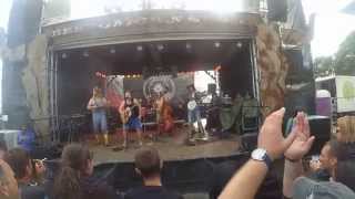 Steve n Seagulls  The Trooper  Wacken 2015 Live HD 1080p [upl. by Waldon705]