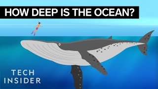 This Incredible Animation Shows How Deep The Ocean Really Is [upl. by Windsor]