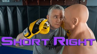 The Short Right Hand kickboxing boxing mma [upl. by Kessia]