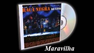 Maravilha  Raça Negra [upl. by Kihtrak]