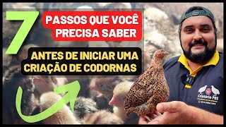 Como iniciar uma CRIAÇÃO DE CODORNAS do ZERO  Tudo que você precisa saber sobre criação de codornas [upl. by Town]