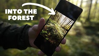 Xperia 1 IV In the field  Nature Photography  4K 120fps Test [upl. by Niowtna]