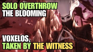 Solo Overthrow The Blooming all 4 levels  Voxelos Taken by the Witness  Titan Destiny 2 [upl. by Durwood]