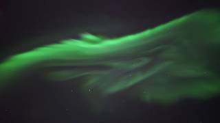 Auroral corona in realtime Northern lights video [upl. by Onabru275]