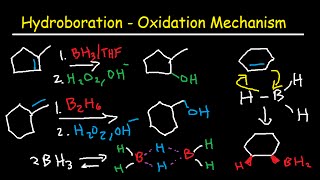 Hydroboration Oxidation Mechanism of Alkenes  BH3 THF H2O2 OH Organic Chemistry [upl. by Ljoka996]