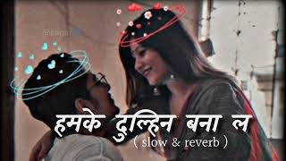 Humke Dulhin bana la  Ankush Raja amp Shilpi Raj  slow amp reverb  Bhojpuri song video viral [upl. by Annerb575]