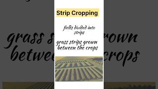 Strip CroppingShelter Belts Class10 GeographyChp1 Resources and Developmentsocialscience cbse [upl. by Shafer]