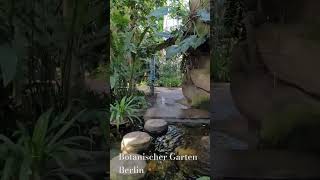 Botanischer Garten in Berlin [upl. by Tocs451]