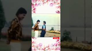 Chiranjeevi melody chiranjeevi suhashini melodysong youtubeshorts viralyoutubeshort dance [upl. by Mcdermott]