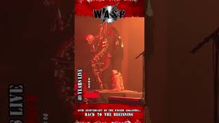 WASP Animal FK Like A Beast 40th Anniversary Tour Las Vegas wasp shorts [upl. by Bromley]