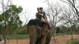 Vlog 19 Jaipur Affen Elephanten amp mehr [upl. by Jens]