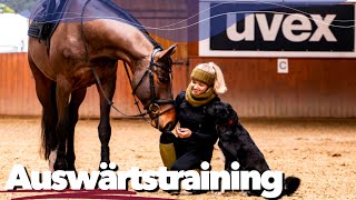 Auswärtstraining mit den Jungpferden  Weekly Vlog 191 [upl. by Kcyrred940]