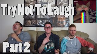 Try Not To Laugh Part 2 CHALLENGE [upl. by Elatsyrk267]