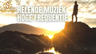 Helende Muziek Hoge Frequentie  8 uur rustige geluiden voor slaap meditatie en studeren [upl. by Dympha155]