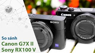 So sánh ảnh chụp Sony RX100 V và Canon G7 X mark II Compact cao cấp trong tầm giá 20 triệu [upl. by Esinrahc]