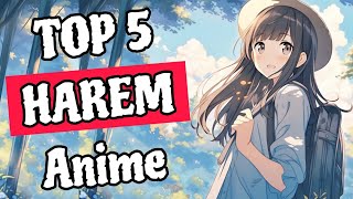 Top 5 Best Harem Anime Of 2024  Hindi [upl. by Ecyrb]