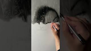 Behind the Veil  HYPERREALISTIC DRAWING PORTRAIT art hyperrealism drawing [upl. by Lingwood]