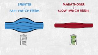 Sprinter vs Marathoner [upl. by Yecram]