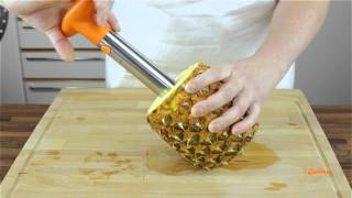 GEN67  TAGLIA ANANAS  ANANAS CORER AND SLICER  I GENIETTI [upl. by Lon]