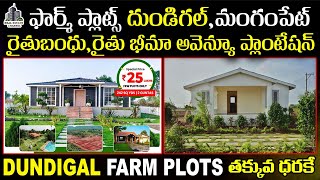 Farm Plots  Dundigal Exit 5MangampetJinnaramGagilapur  Gated Community Farm Plots dundigal [upl. by Falconer]