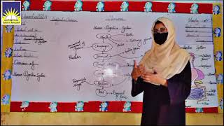 Human Digestive System Dar e Arqam School Mailsi Campus 2024 [upl. by Ettennaj627]