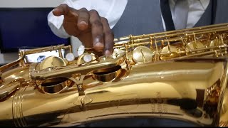 HOW TO EASILY IDENTIFY SAXOPHONE KEYS  KINDS amp TYPES [upl. by Mouldon]