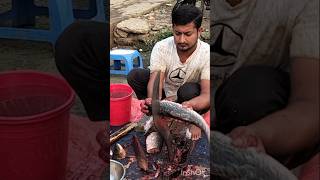 Amazing Goint rohi fish catting skills viralvideo [upl. by Karmen]