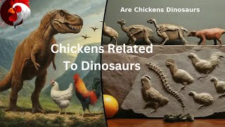 Top 10 Chicken crazy Facts You Didnt Know raisingchickens chicken rooster Chickenchaos [upl. by Aseret]