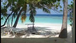 Maldives Islands  Sandies Bathala Resort Conditiile de cazare [upl. by Harimas590]