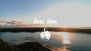 tacica『dear deer』Music Video [upl. by Caraviello]