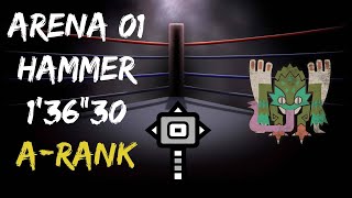 MHWIB PC Arena 01 Hammer vs Pukei 136quot30 ARank [upl. by Melisandra987]