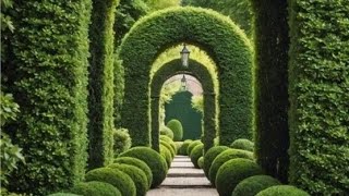 best 70 garden topiary [upl. by Laertnom]