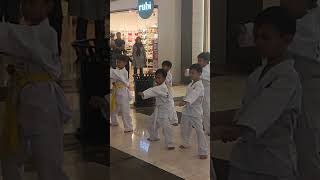 Tae Kwon Do Paris Van Java PVJ 2 Nopember 2024 [upl. by Wilhelmine]