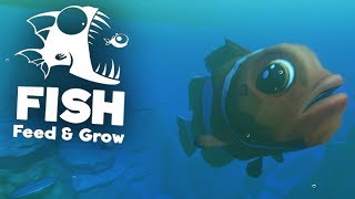 GIGANTYCZNY NEMO POSTRACH OCEANU  Feed And Grow Fish [upl. by Novehs]