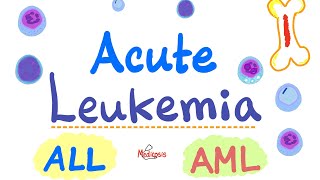 Acute Leukemia  ALL and AML  Hematology and Oncology Series [upl. by Nnylyram]