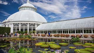 Tourist in Your Own Town 51  New York Botanical Garden [upl. by Oigaib88]