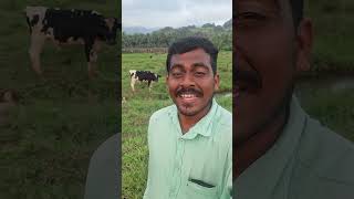 kalabavanmani malayalamsongs nadanpattu nadanpattukal [upl. by Terhune]