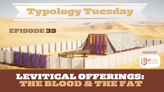 Episode 35 The Levitical Offerings — The Blood and the Fat [upl. by Service893]