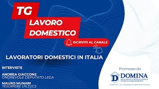 Tg Lavoro Domestico  Lavoratori domestici in Italia [upl. by Tildi]